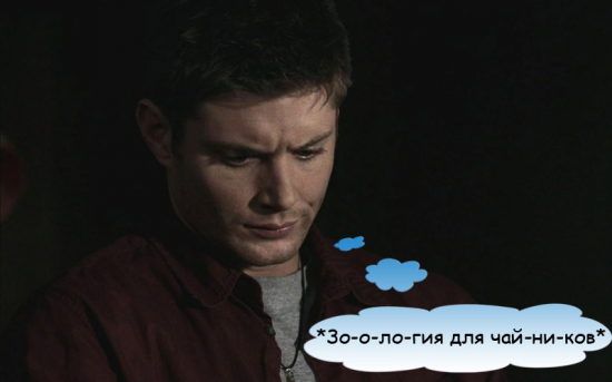   Сверхъестественное / Supernatural Img.35494.15778b9ad8e0717f514152f72361bf7a